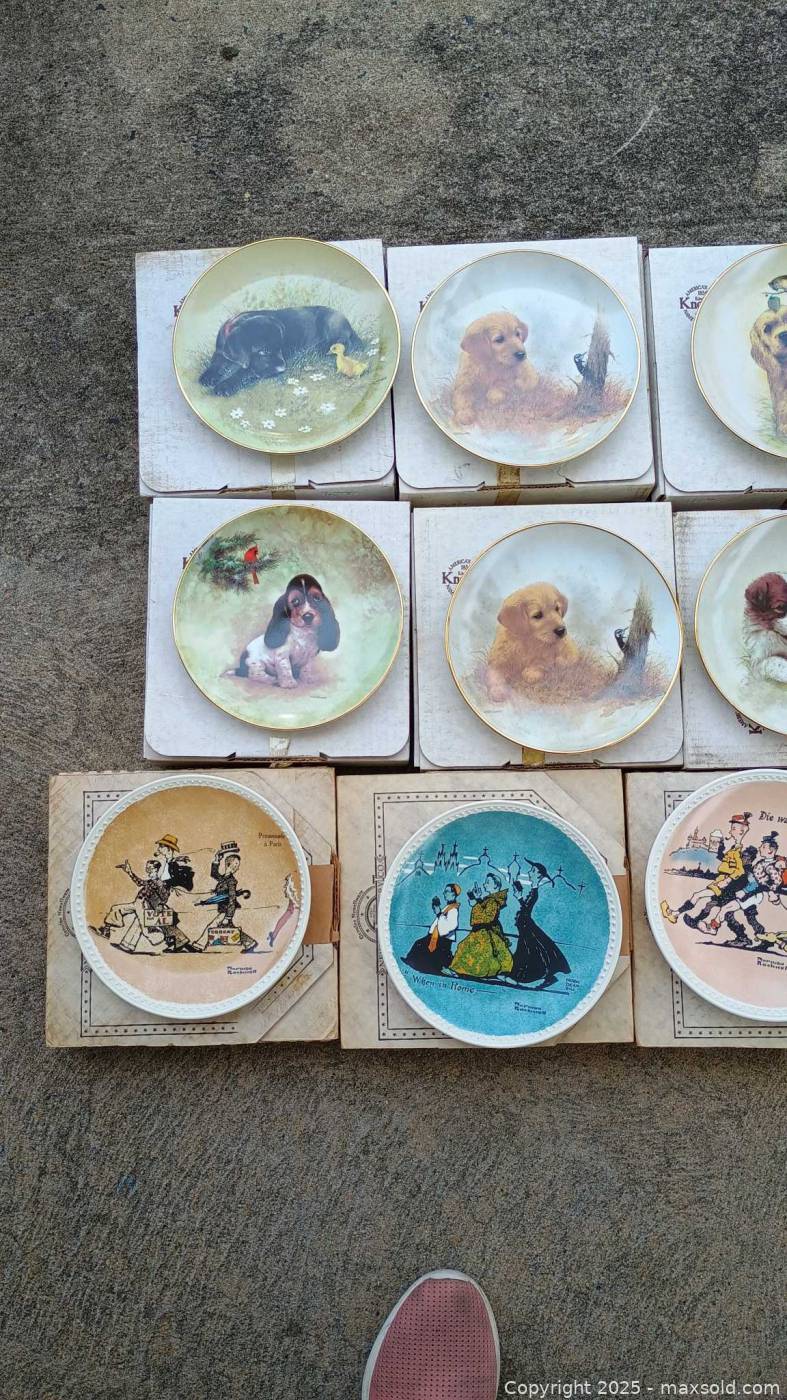20 decorative collector plates with boxes | Maxsold