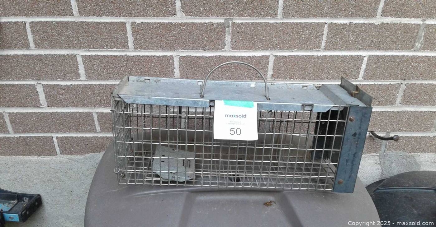 Metal small animal live capture trap | Maxsold