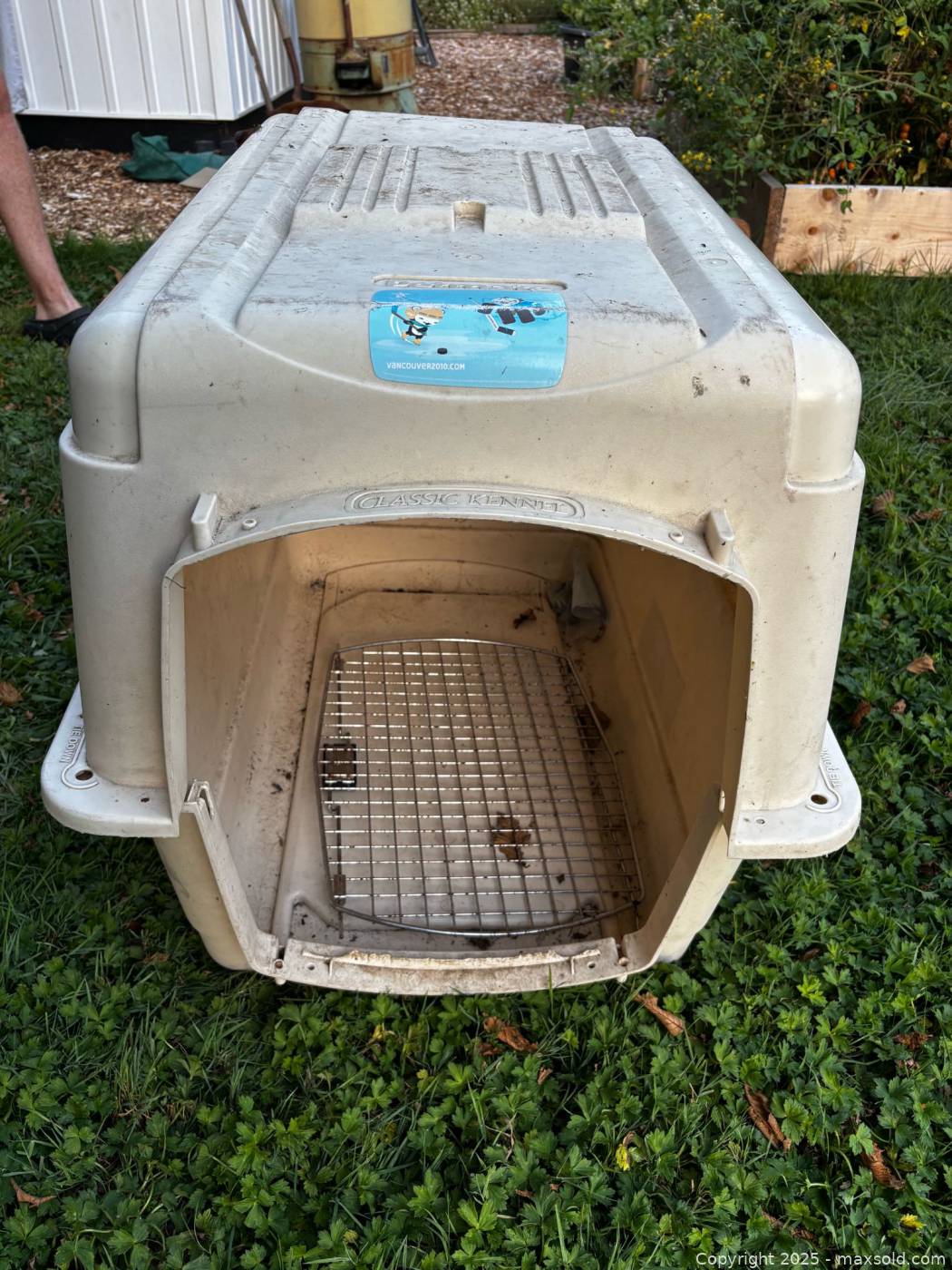 Picture of Petmate large plastic dog crate | Maxsold