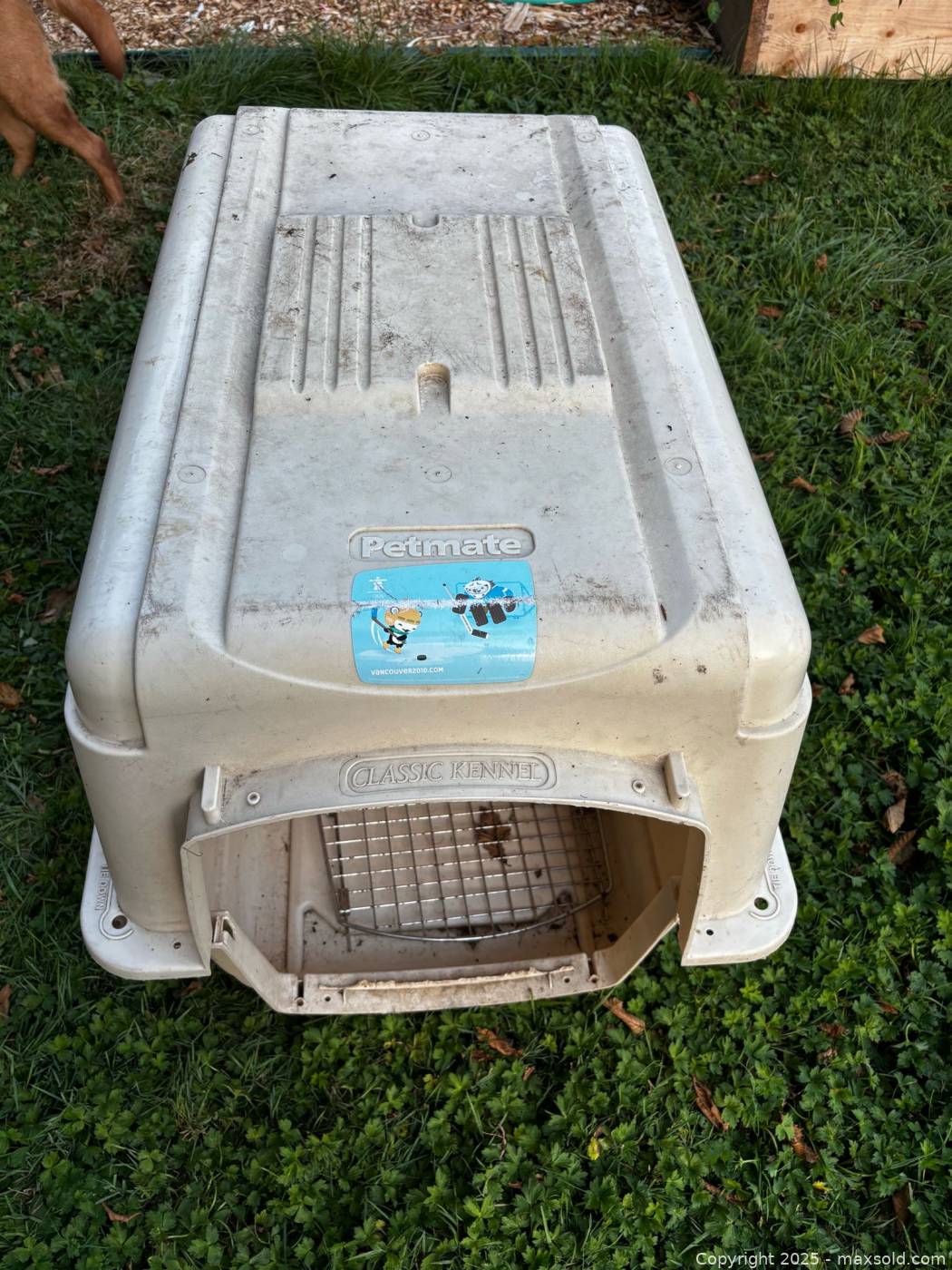 Petmate large plastic dog crate | Maxsold - Large Plastic Dog Crate With Windows