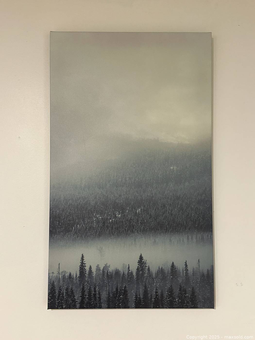 Canvas Print : Forest Within Her – Modern Double Exposure Canvas Wall Art
