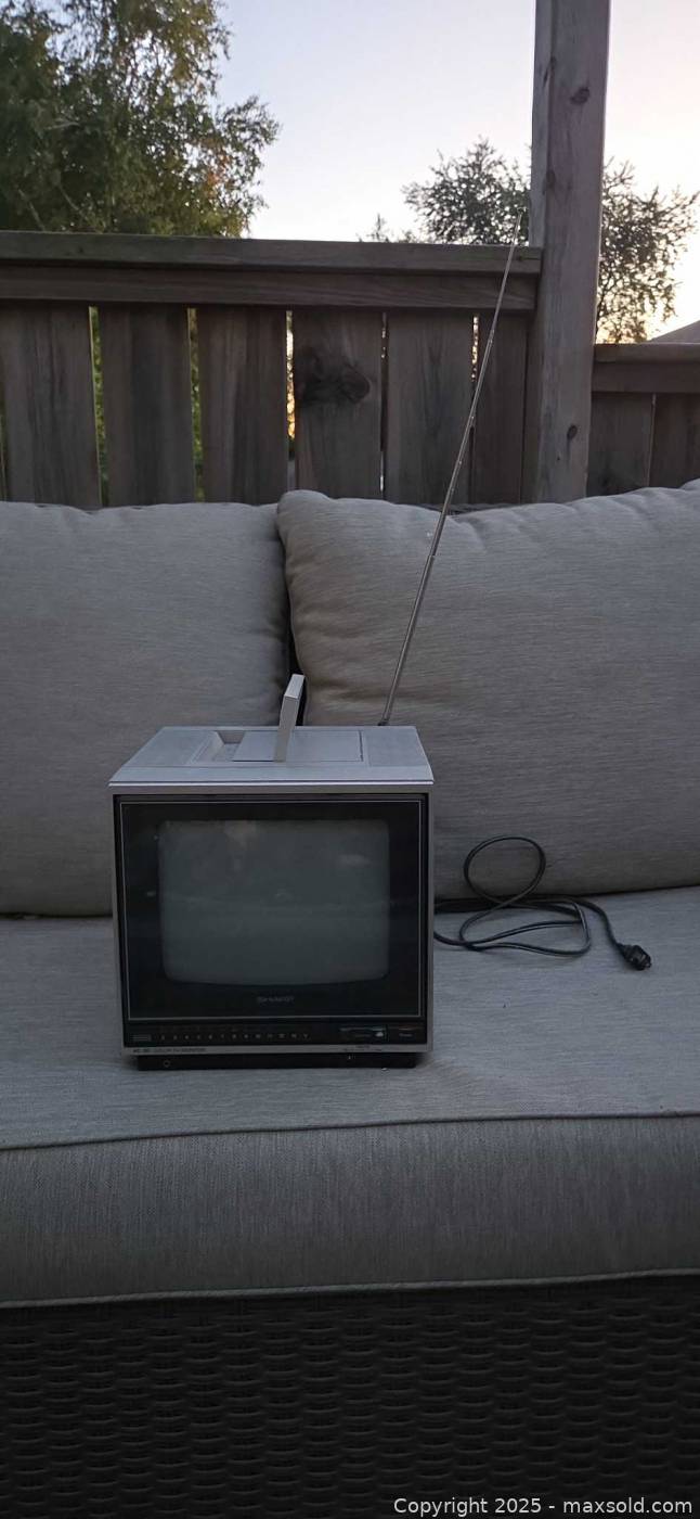 Sharp portable AC/DC color TV monitor | Maxsold