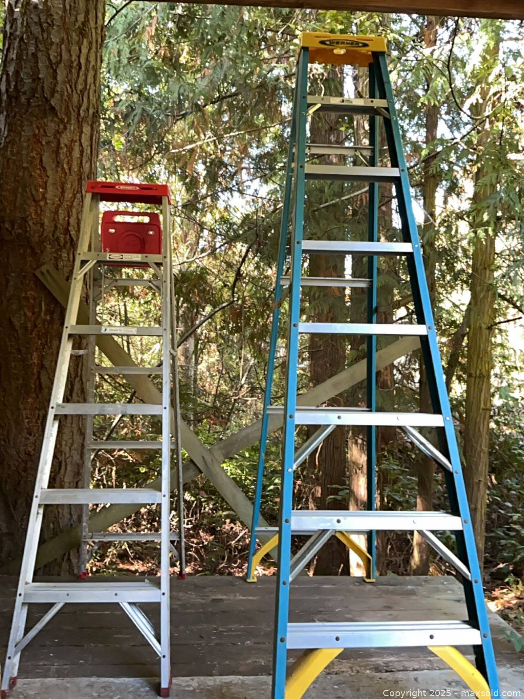 Re Ladder Werner 6-ft aluminum and 12-ft fiberglass step ladders | Maxsold
