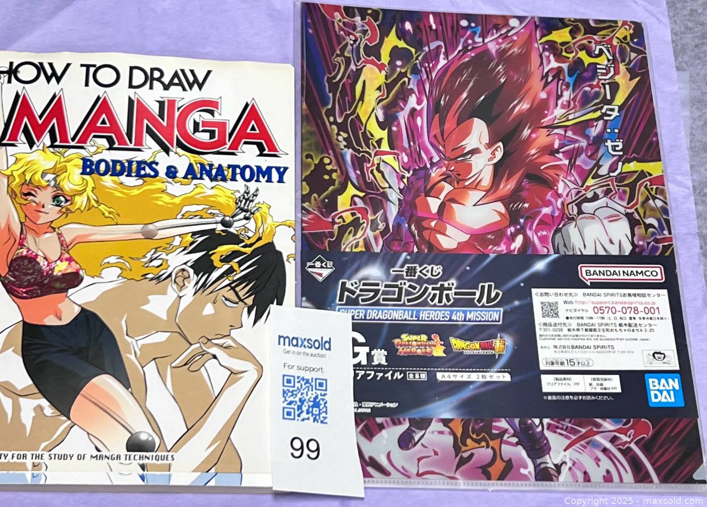 How to Draw Manga Bodies & Anatomy Book and Super Dragon Ball Heroes
