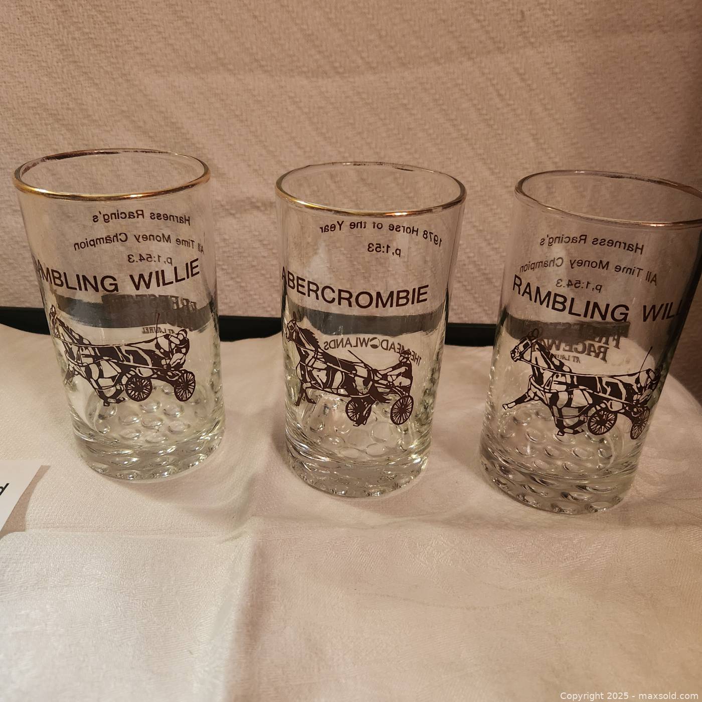 Freestate Raceway harness racing glasses | Maxsold