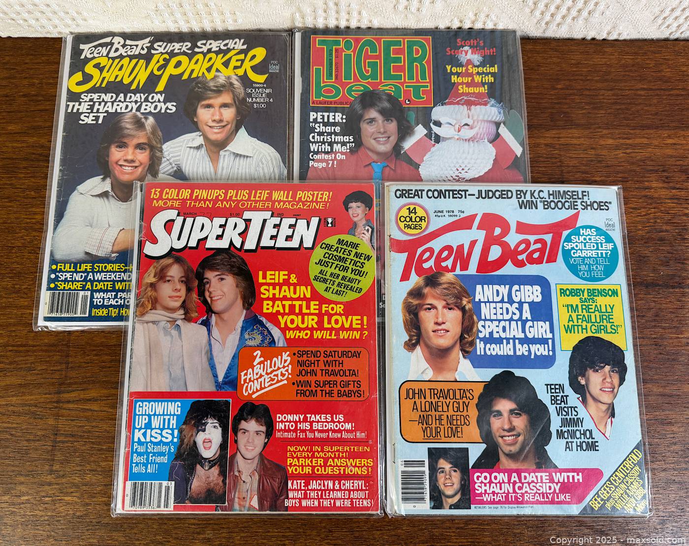 1970s Teen Fan Magazines Bagged & Boarded | Maxsold
