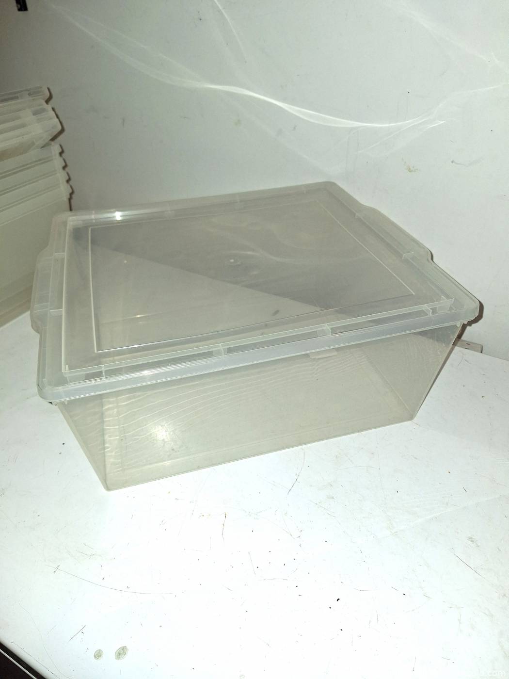 Seven 19-L plastic storage containers with lids | Maxsold