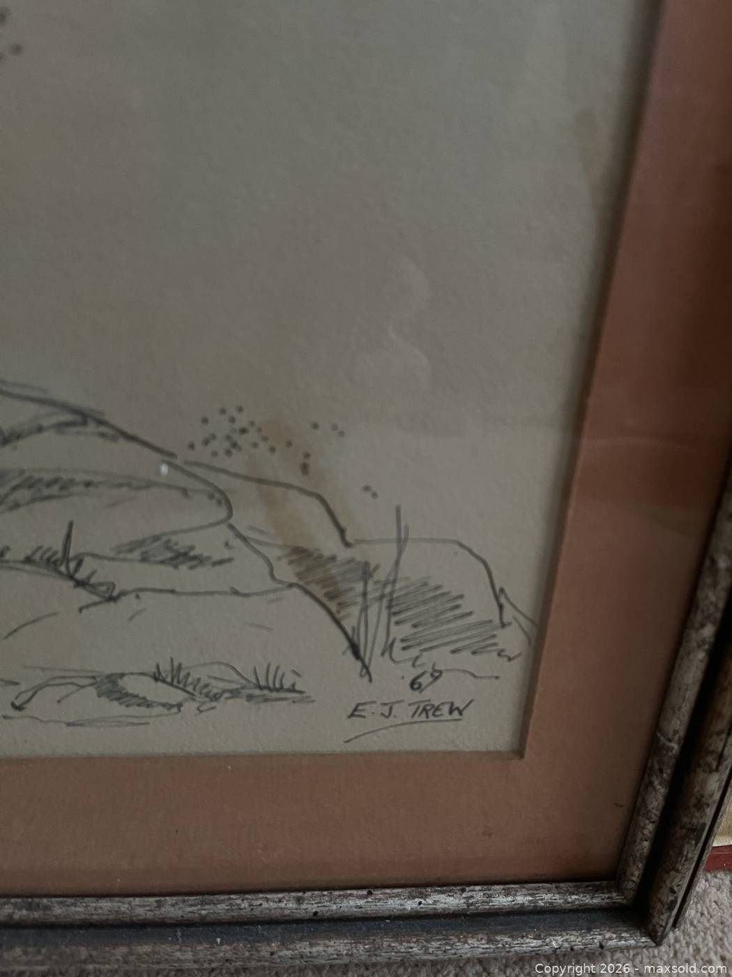 Framed Pen & Ink Botanical Drawing Signed E.J. Trew | Maxsold
