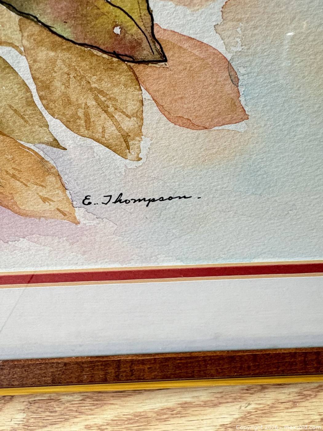 framed-floral-watercolor-painting-by-e-thompson-maxsold