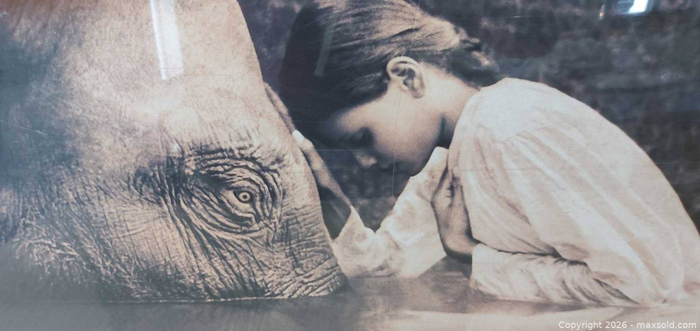 Ashes and ：Gregory Colbert s-l400.jpg