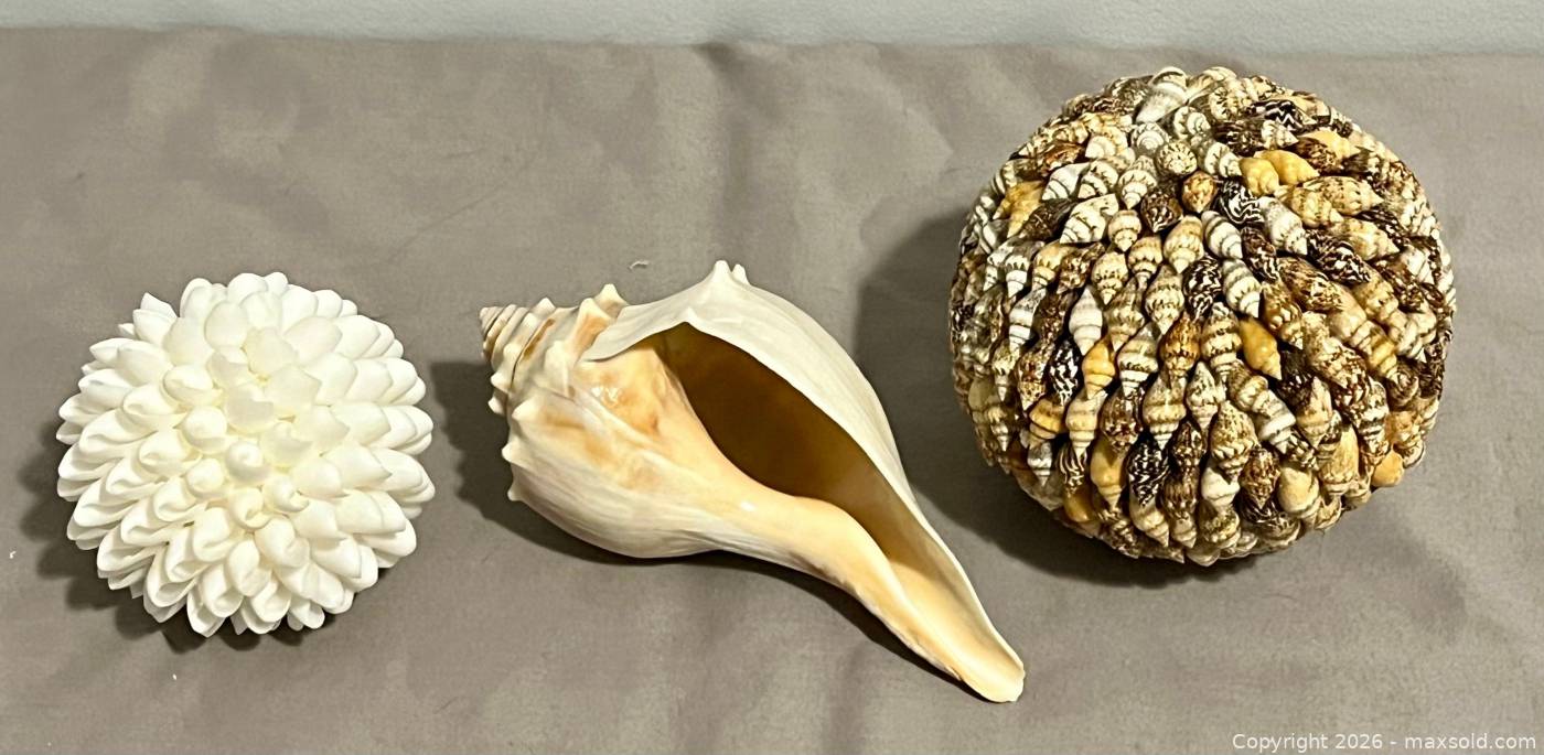 Ball Shaped Shell Decorative shell balls and conch shell | Maxsold