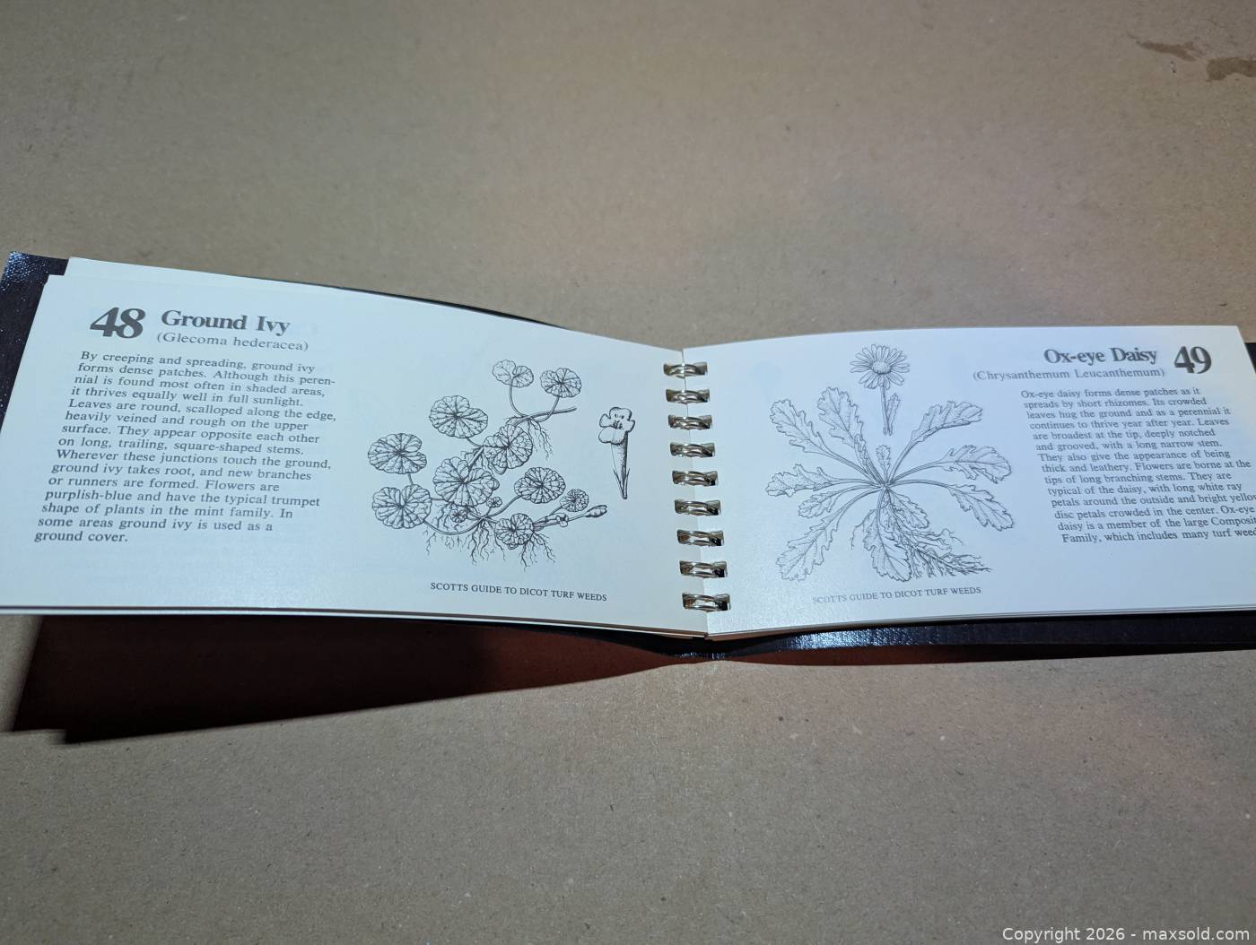 Turfgrass Identification Guide Scotts Guide To The Identification Of Dicot Turf Weeds Booklet 1985 ...