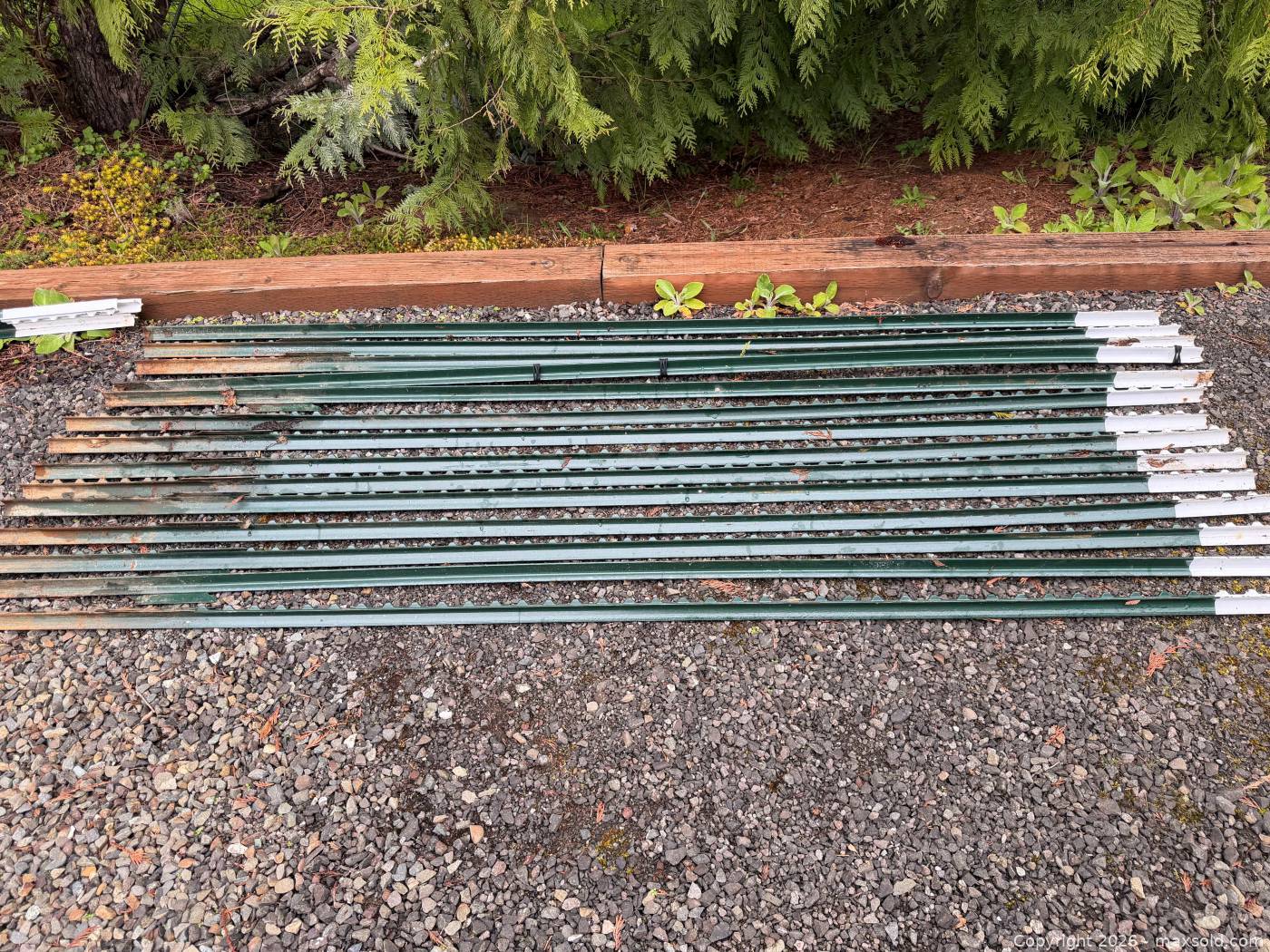 12 steel 8-ft T-posts | Maxsold
