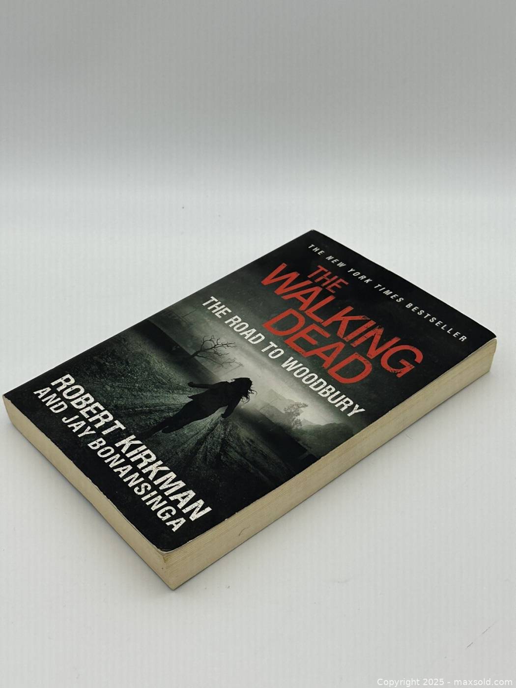 The Walking Dead: The Road to Woodbury paperback | Maxsold